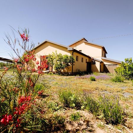 Agriturismo Bio Podere 109 - Wine&Food 알베레세 외부 사진