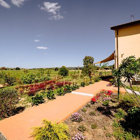 Agriturismo Bio Podere 109 - Wine&Food 알베레세 외부 사진