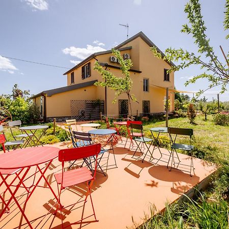 Agriturismo Bio Podere 109 - Wine&Food 알베레세 외부 사진