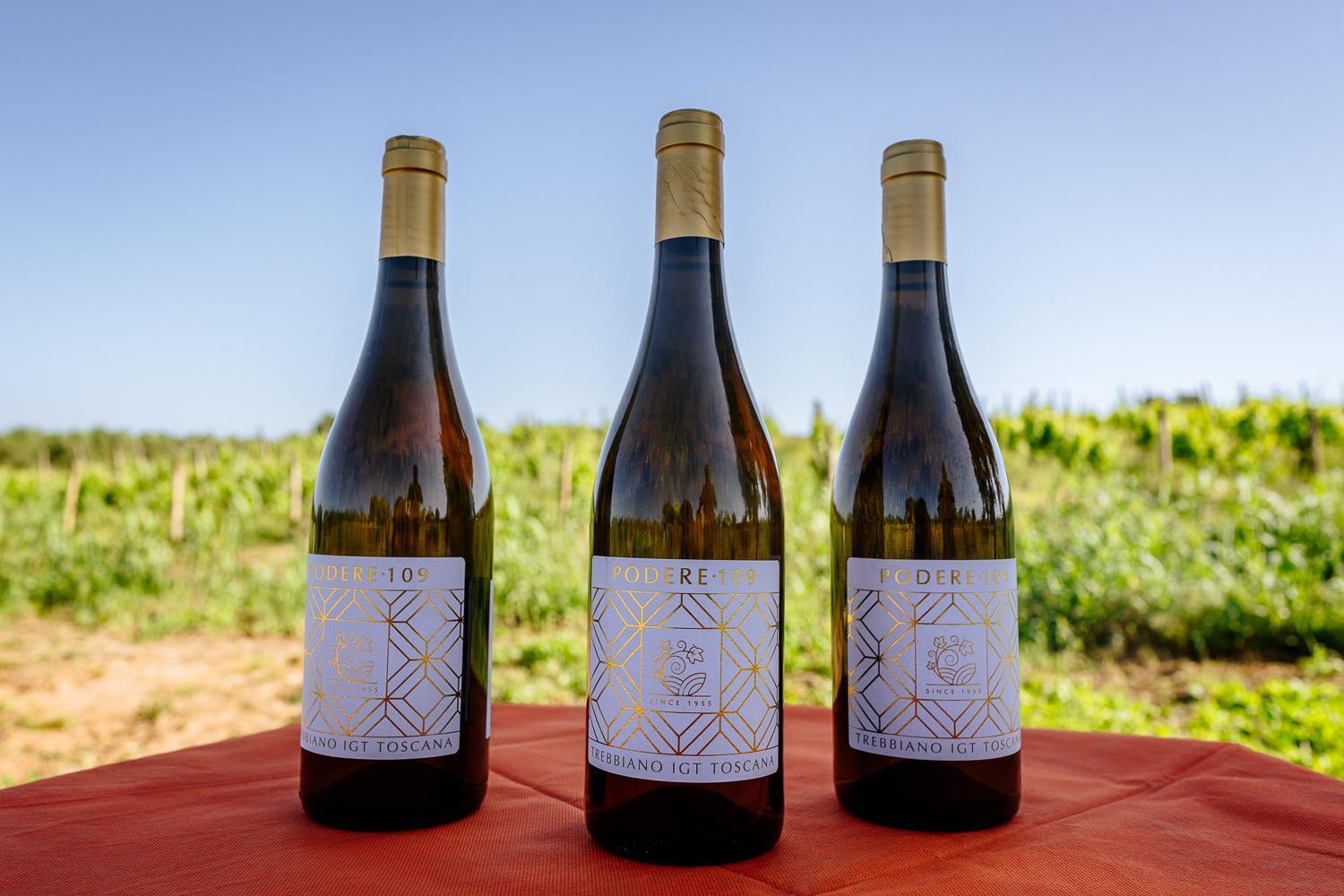 Agriturismo Bio Podere 109 - Wine&Food 알베레세 외부 사진