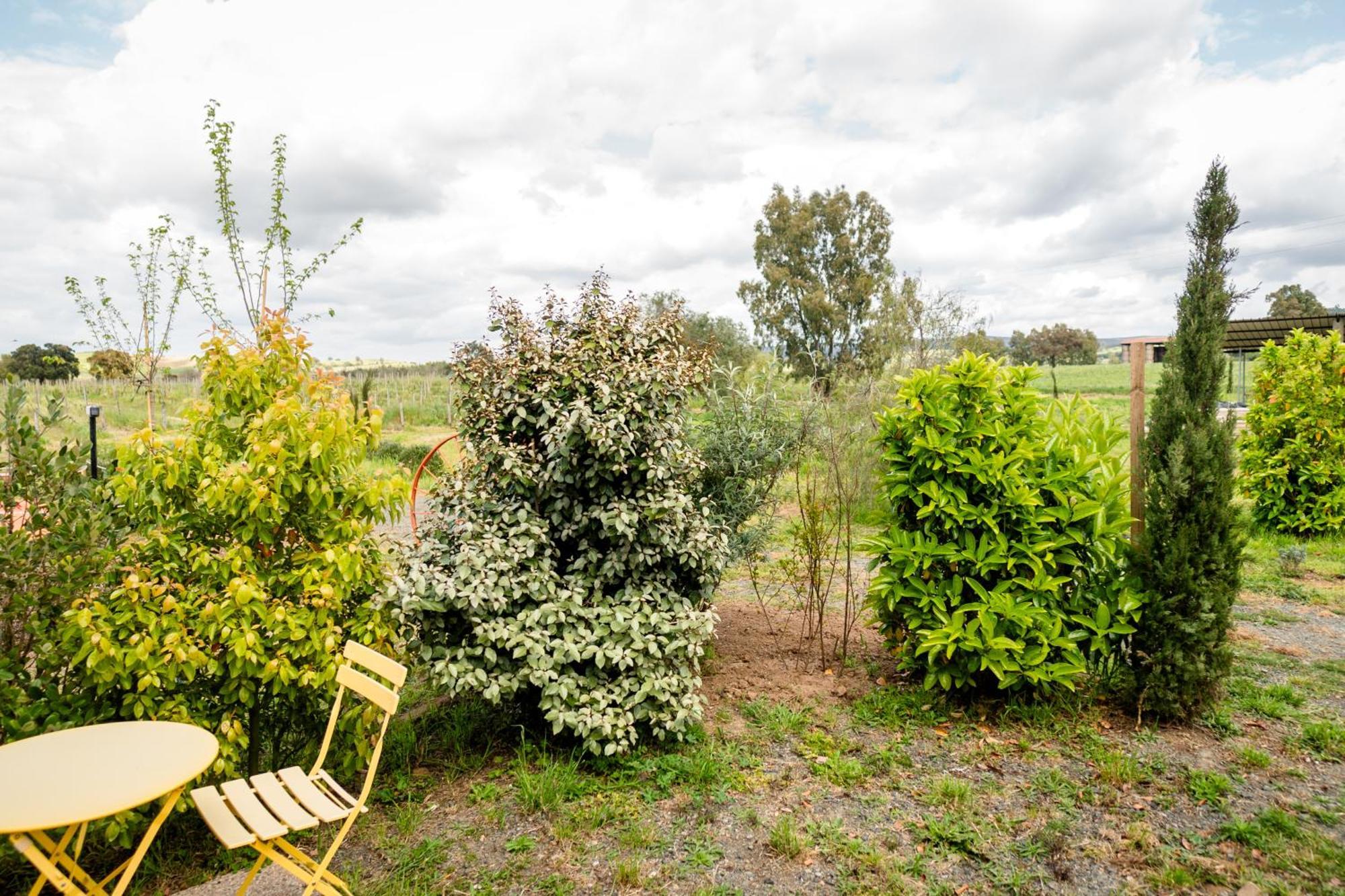 Agriturismo Bio Podere 109 - Wine&Food 알베레세 외부 사진
