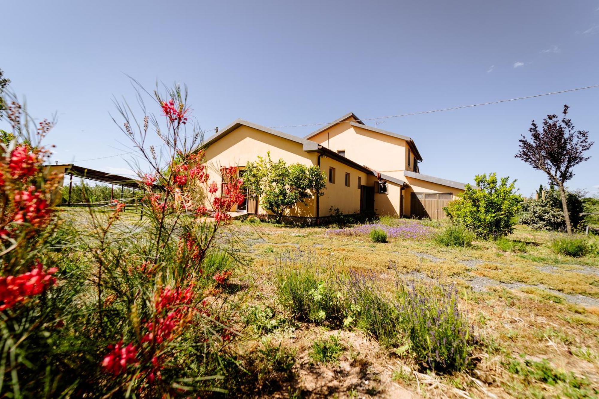 Agriturismo Bio Podere 109 - Wine&Food 알베레세 외부 사진